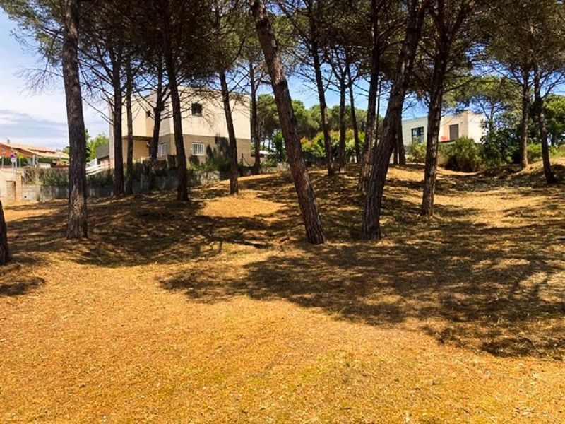 Продается участок 220 м² в лучшем районе Ла Гоба, Видререс