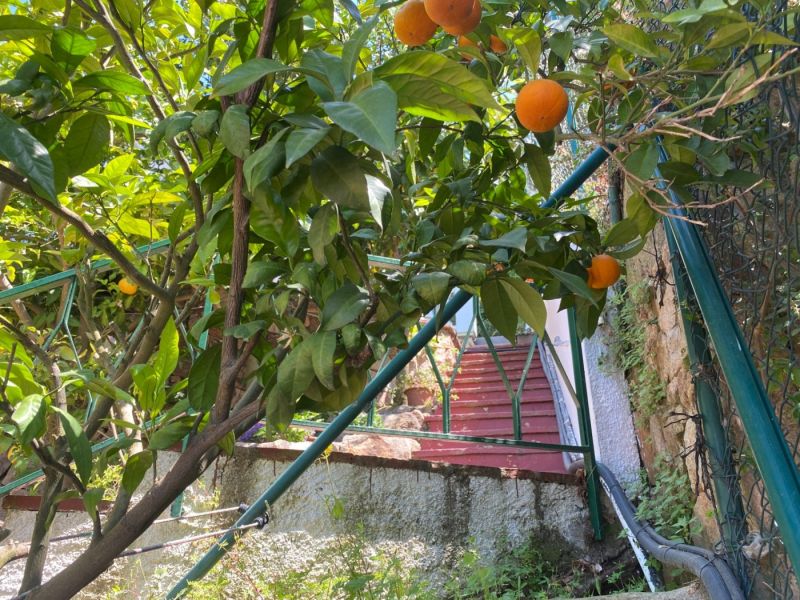 Продажа коттеджа с панорамным видом