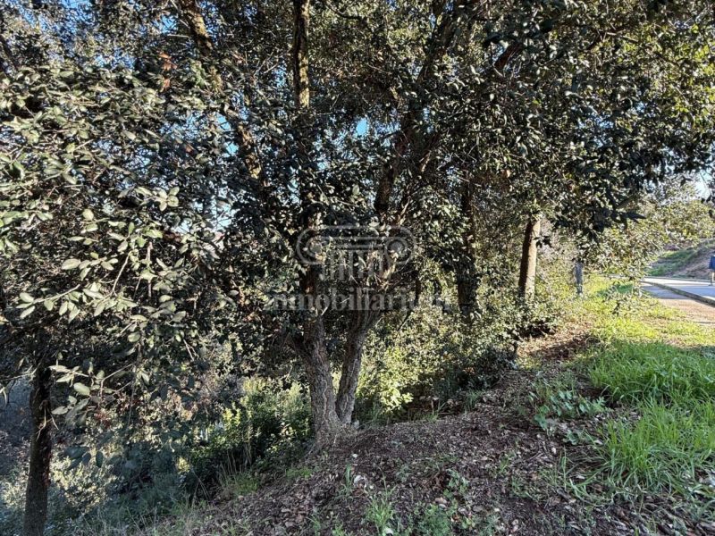 Продается участок 1431 м² в Льорет-де-Мар