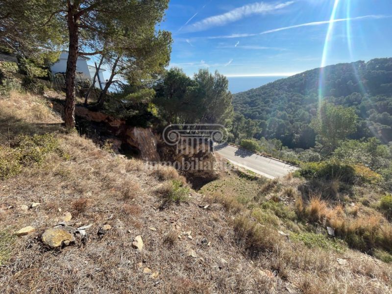 Продается участок 1180 м² в Santa Cristina