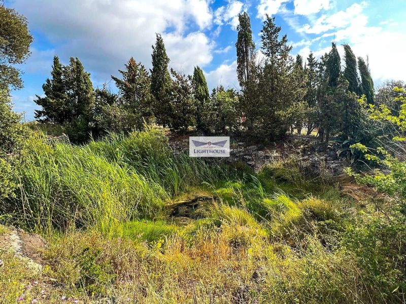 Дом типа Masia Catalana под названием Can Duana