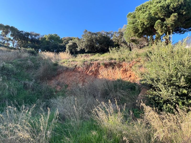 ЭКСКЛЮЗИВНЫЕ УЧАСТКИ НА ПРОДАЖУ с видом на МОРЕ