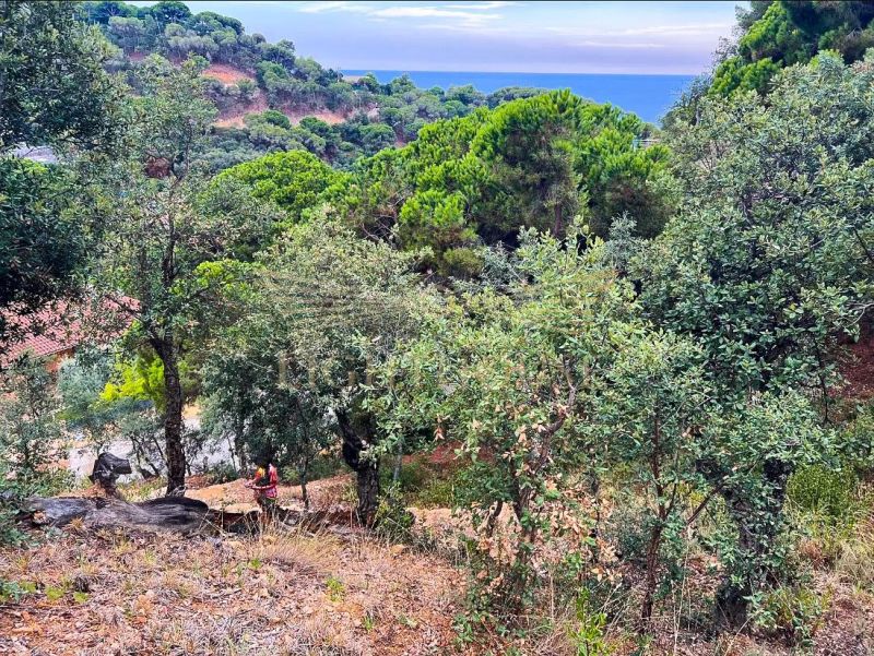 Участок под застройку с видом на море, с утверждённым разрешением на строительство и проектом!