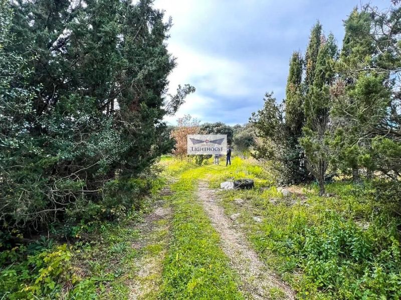 Дом типа Masia Catalana под названием Can Duana