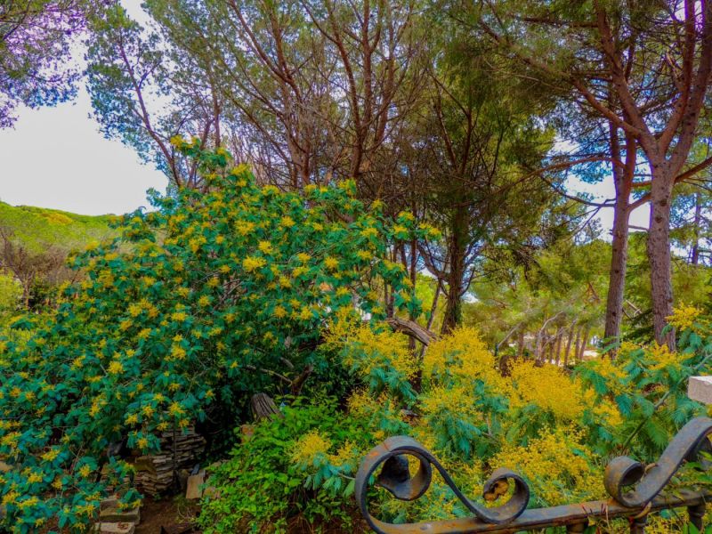 Вилла 254 м² с туристической лицензией в La Montgoda, Lloret de Mar