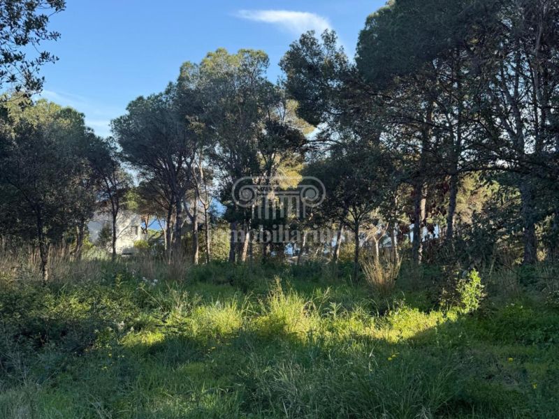 Продается участок 818 м² в Льорет-де-Мар