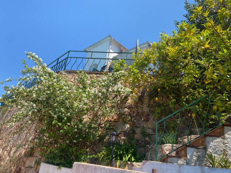 Продажа коттеджа с панорамным видом