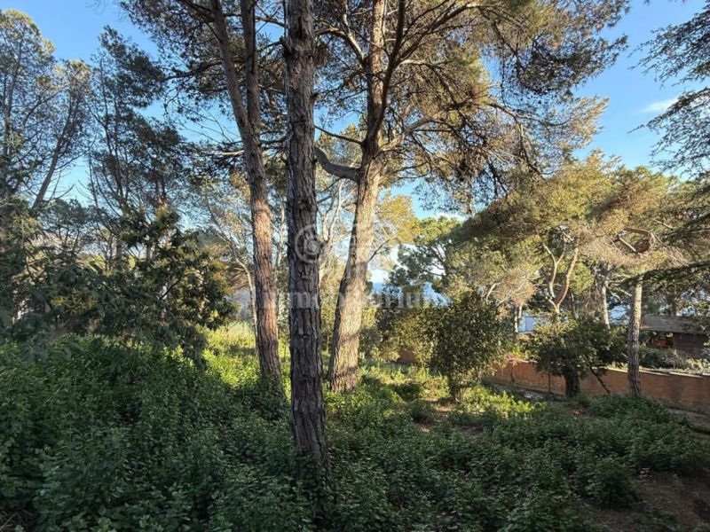 Продается участок 891 м² в Льорет-де-Мар