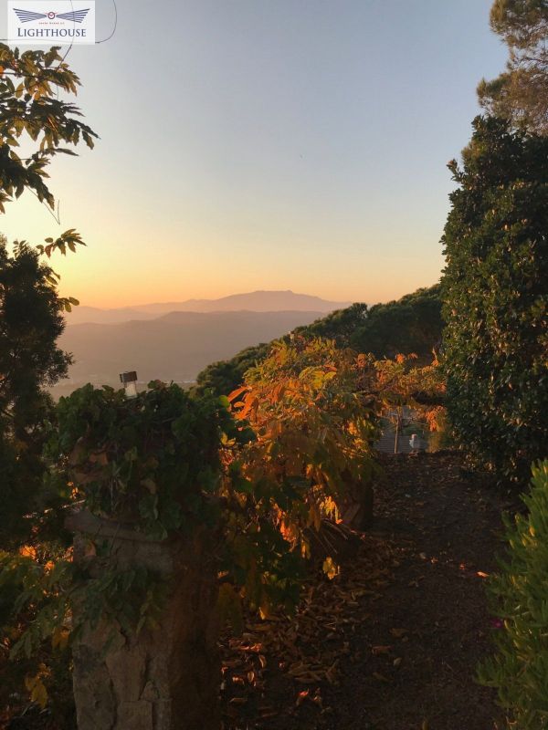 Земельный участок площадью 1 008,00 м²